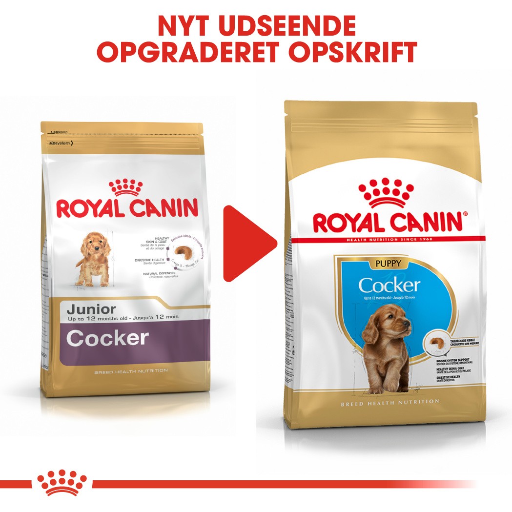 Royal Canin Puppy Cocker Spaniel hundefoder