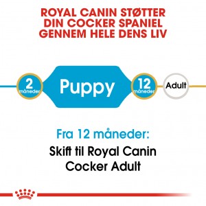 Royal Canin Puppy Cocker Spaniel hundefoder