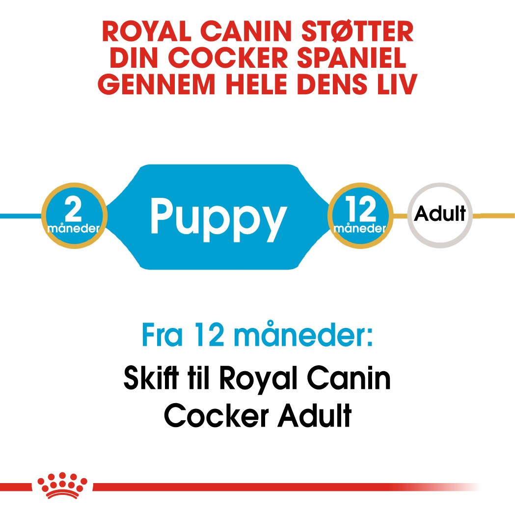 Royal Canin Puppy Cocker Spaniel hundefoder