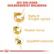 Royal Canin Teckel/Dachshund Adult Wet