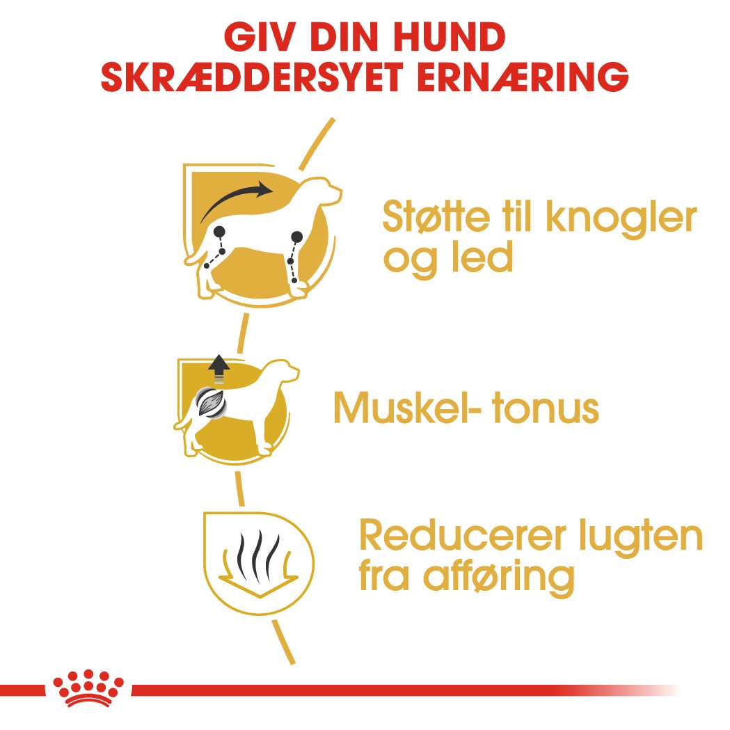 Royal Canin Adult Gravhund hundefoder