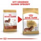 Royal Canin Adult Gravhund hundefoder