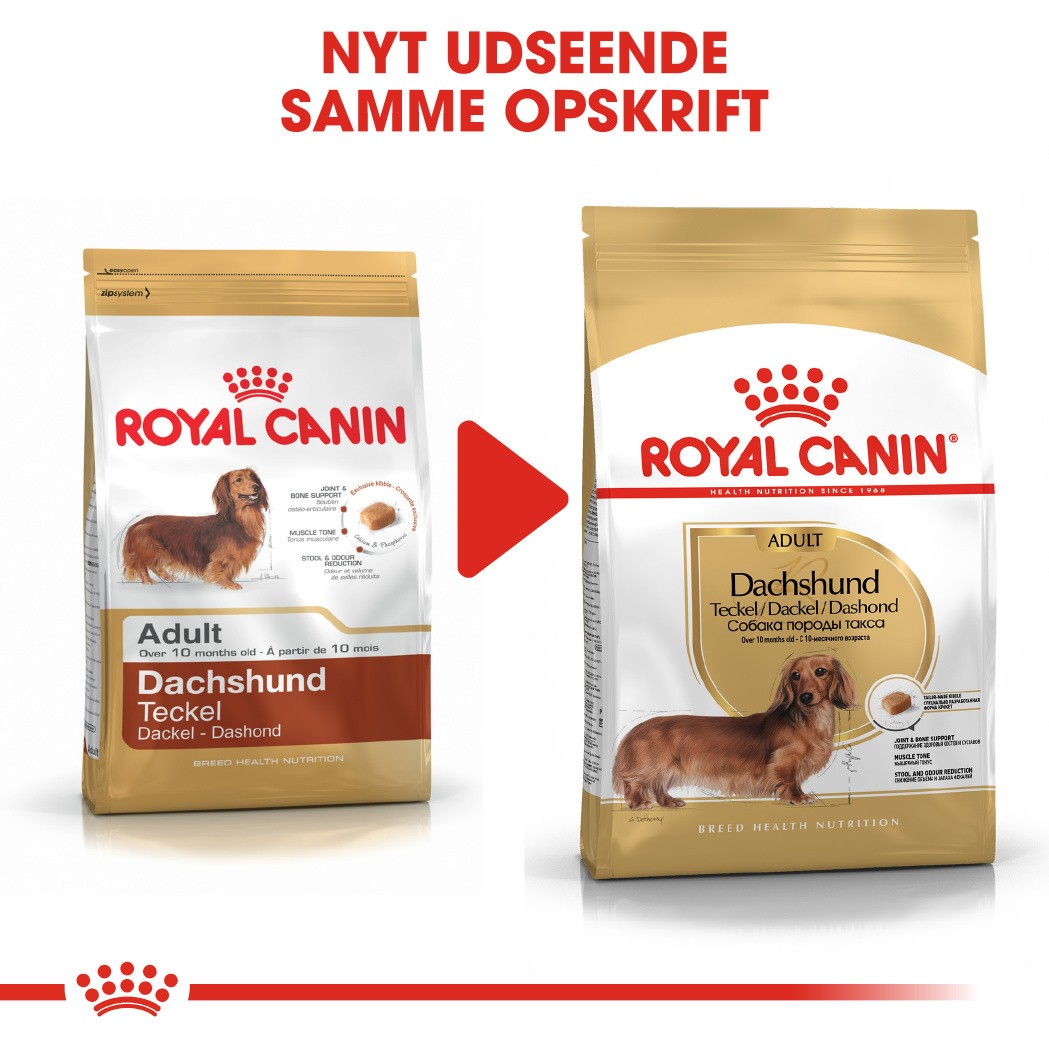 Royal Canin Adult Gravhund hundefoder