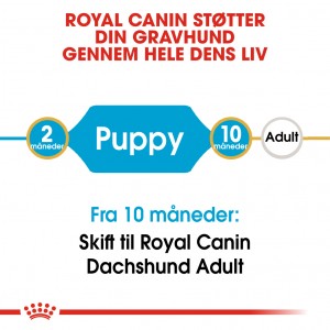 Royal Canin Puppy Gravhund hundefoder