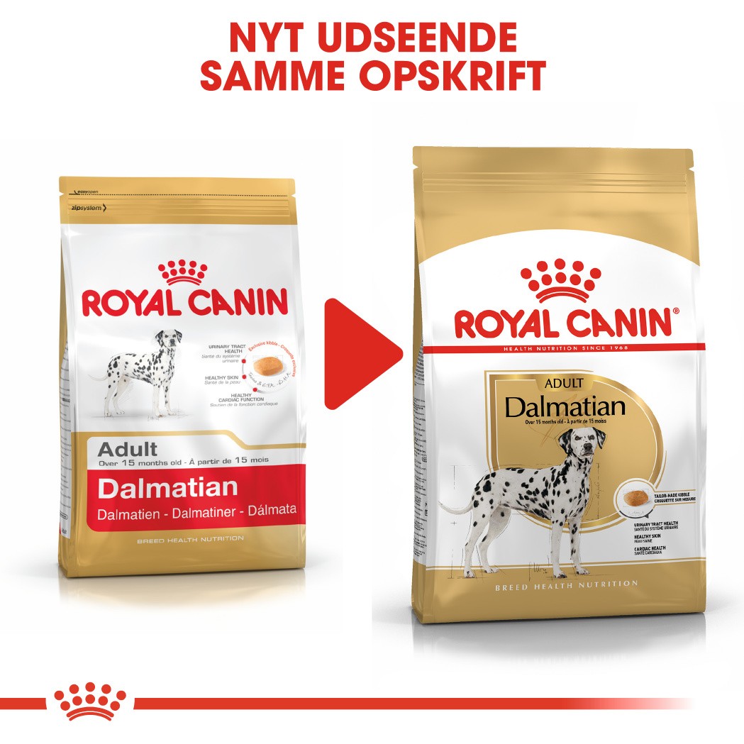 overholdelse Ældre tunge Royal Canin Adult Dalmatiner hundefoder | Billigt | Stort Udvalg