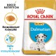 Royal Canin Puppy Dalmatiner hundefoder