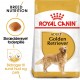 Royal Canin Adult Golden Retriever hundefoder