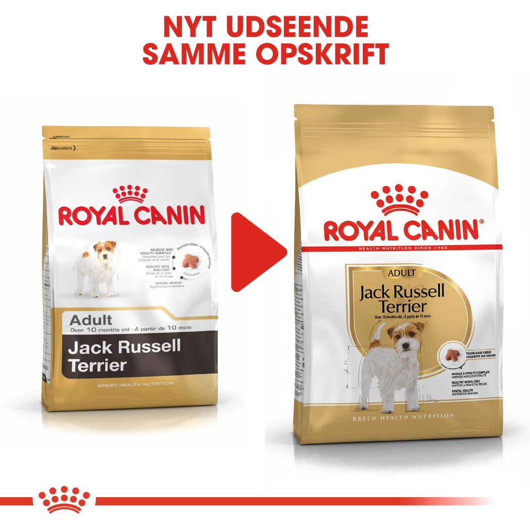 Royal Canin Adult Jack Russell Terrier hundefoder