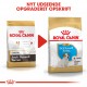 Royal Canin Puppy Jack Russell Terrier hundefoder