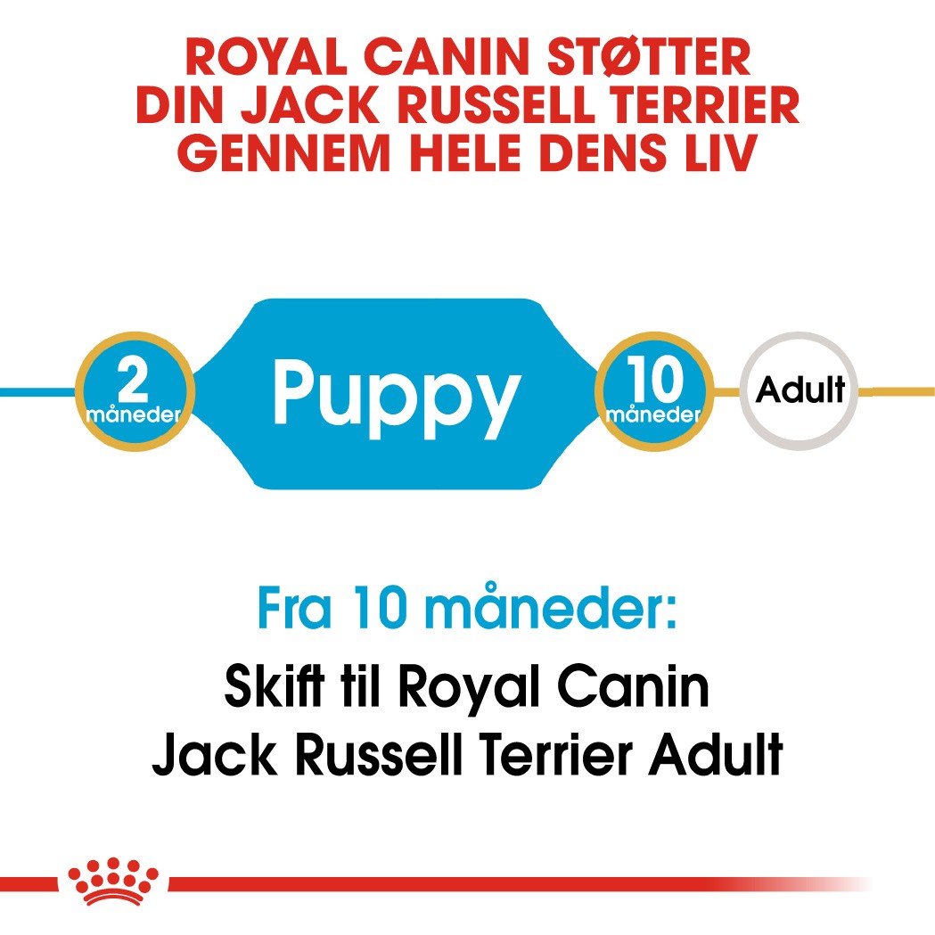 Royal Canin Puppy Jack Russell Terrier hundefoder