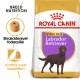 Royal Canin Sterilised Adult Labrador Retriever hundefoder