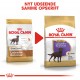 Royal Canin Sterilised Adult Labrador Retriever hundefoder