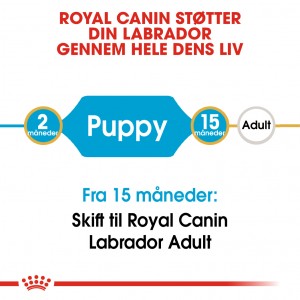 Royal Canin Puppy Labrador Retriever hundefoder