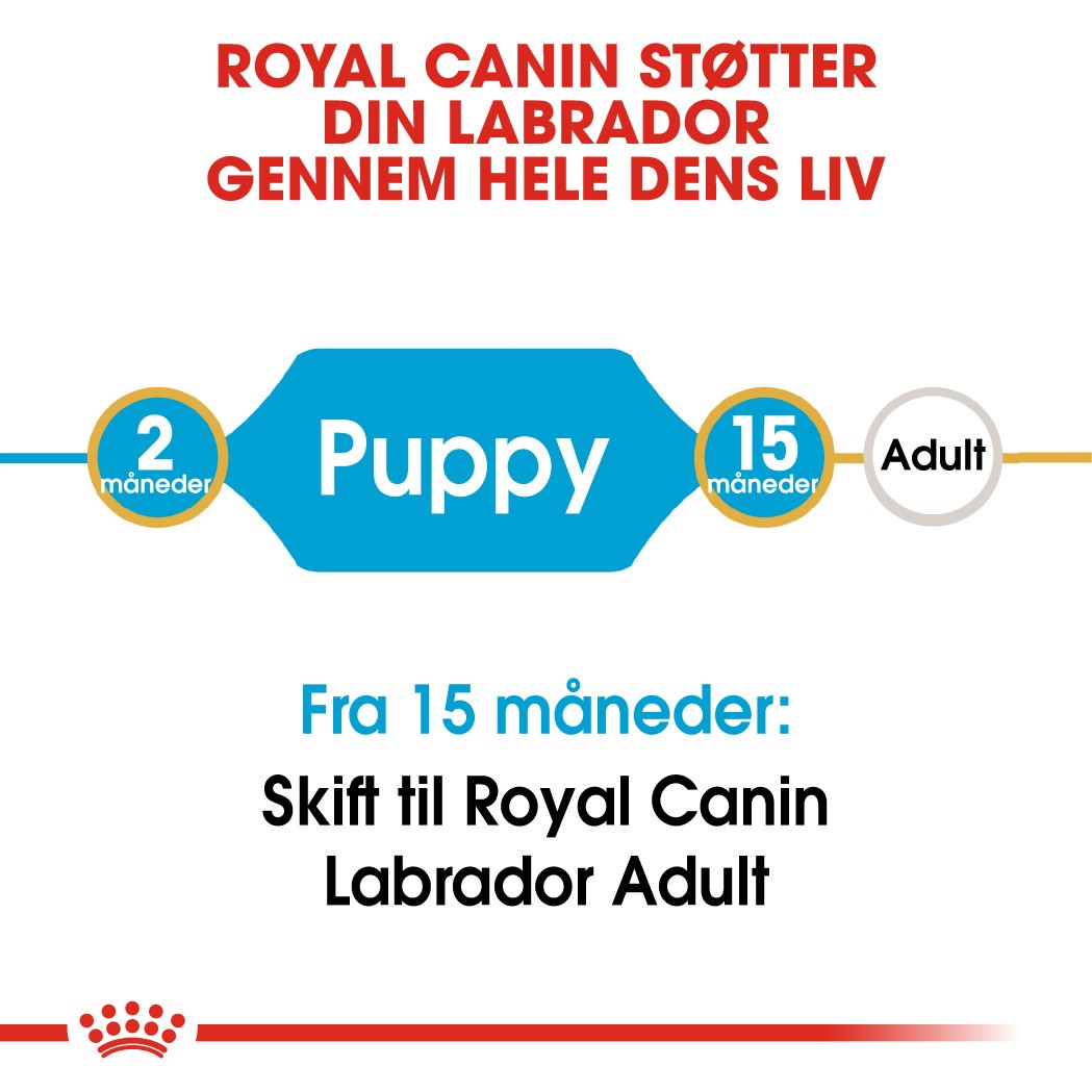 Royal Canin Puppy Labrador Retriever hundefoder