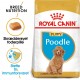 Royal Canin Puppy Puddel hundefoder