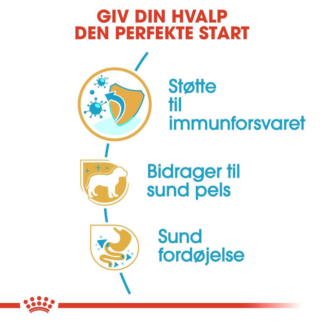 Royal Canin Poodle 33 junior hondenvoer