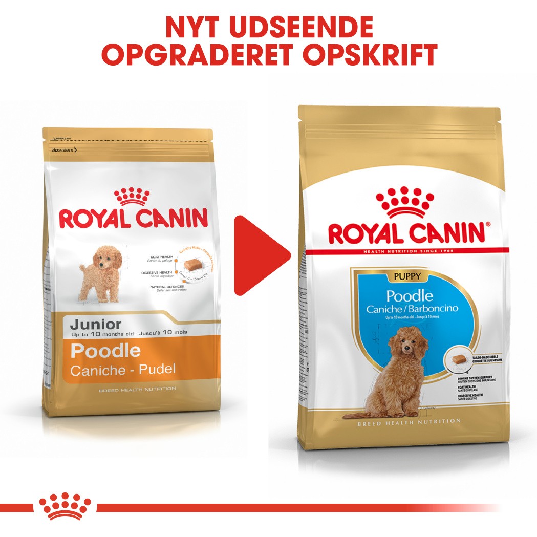 Royal Canin Poodle 33 junior hondenvoer