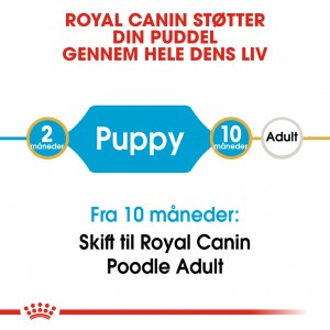 Royal Canin Poodle 33 junior hondenvoer