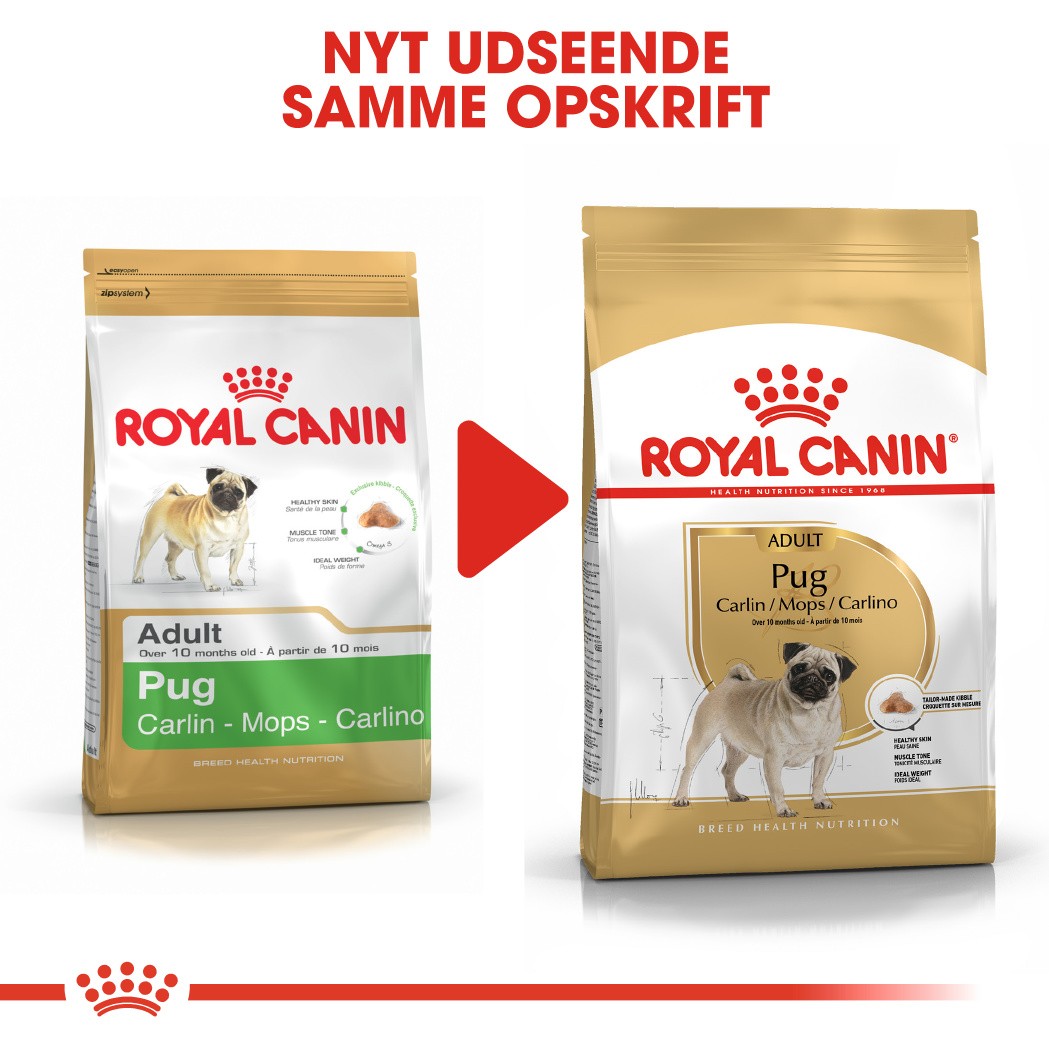 Royal Canin Adult Mops hundefoder