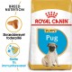 Royal Canin Puppy Mops hundefoder
