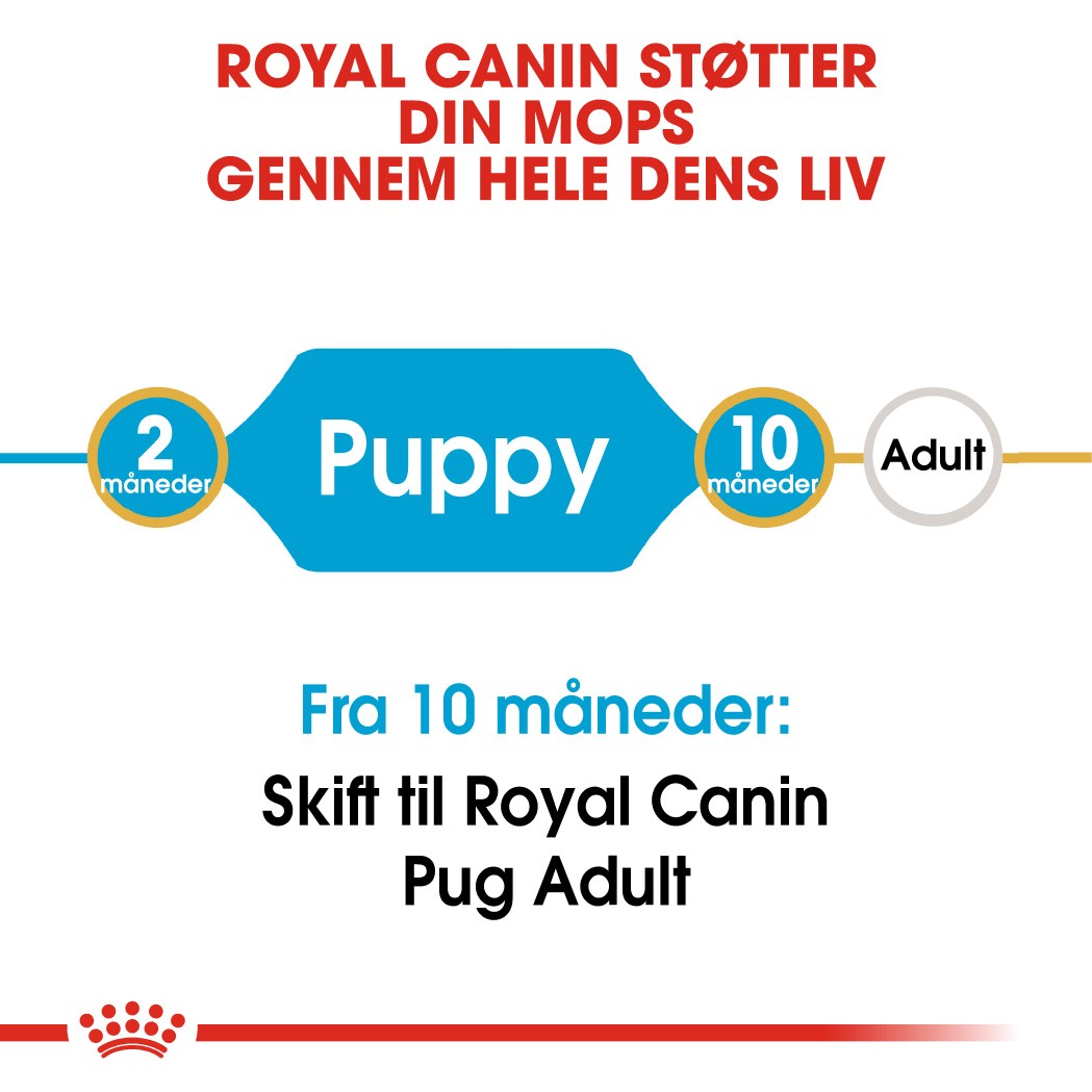 Royal Canin Puppy Mops hundefoder