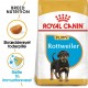 Royal Canin Puppy Rottweiler hundefoder