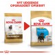 Royal Canin Puppy Rottweiler hundefoder