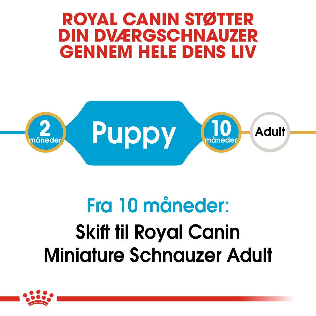 Royal Canin Miniature Schnauzer Junior Hondenvoer