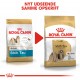 Royal Canin Adult Shih Tzu hundefoder