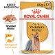 Royal Canin Adult Yorkshire Terrier vådfoder