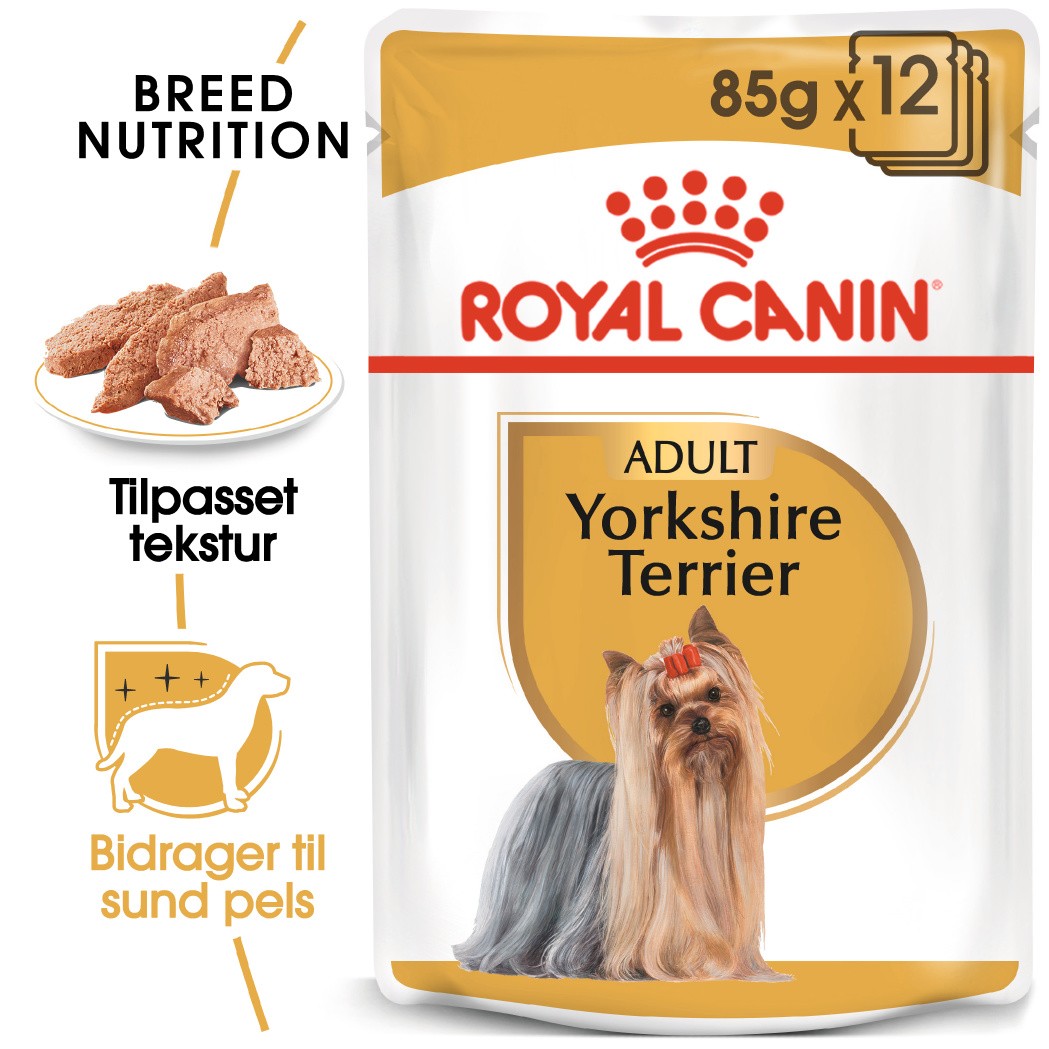 Royal Canin Yorkshire Terrier Adult Wet