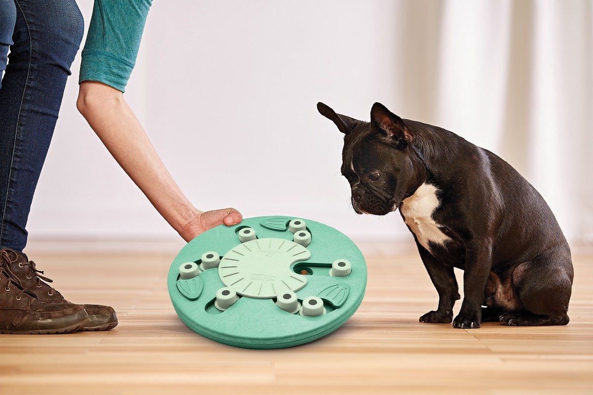 Nina Ottenson Dog Worker Composite