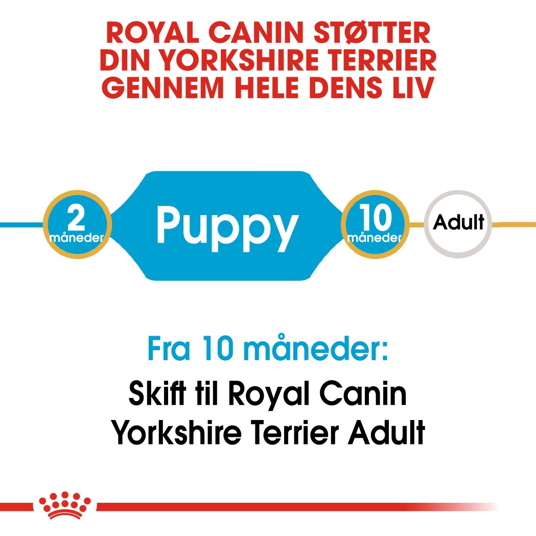 Royal Canin Puppy Yorkshire Terrier hundefoder