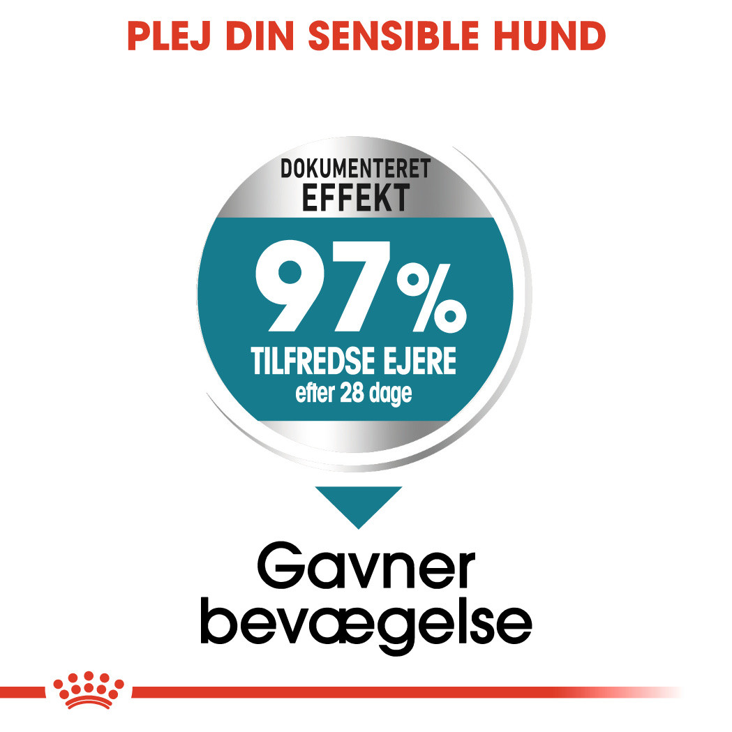 Royal Canin Maxi Joint Care hundefoder