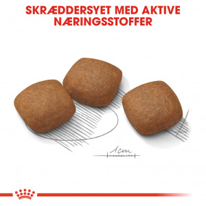Royal Canin Maxi Joint Care hundefoder