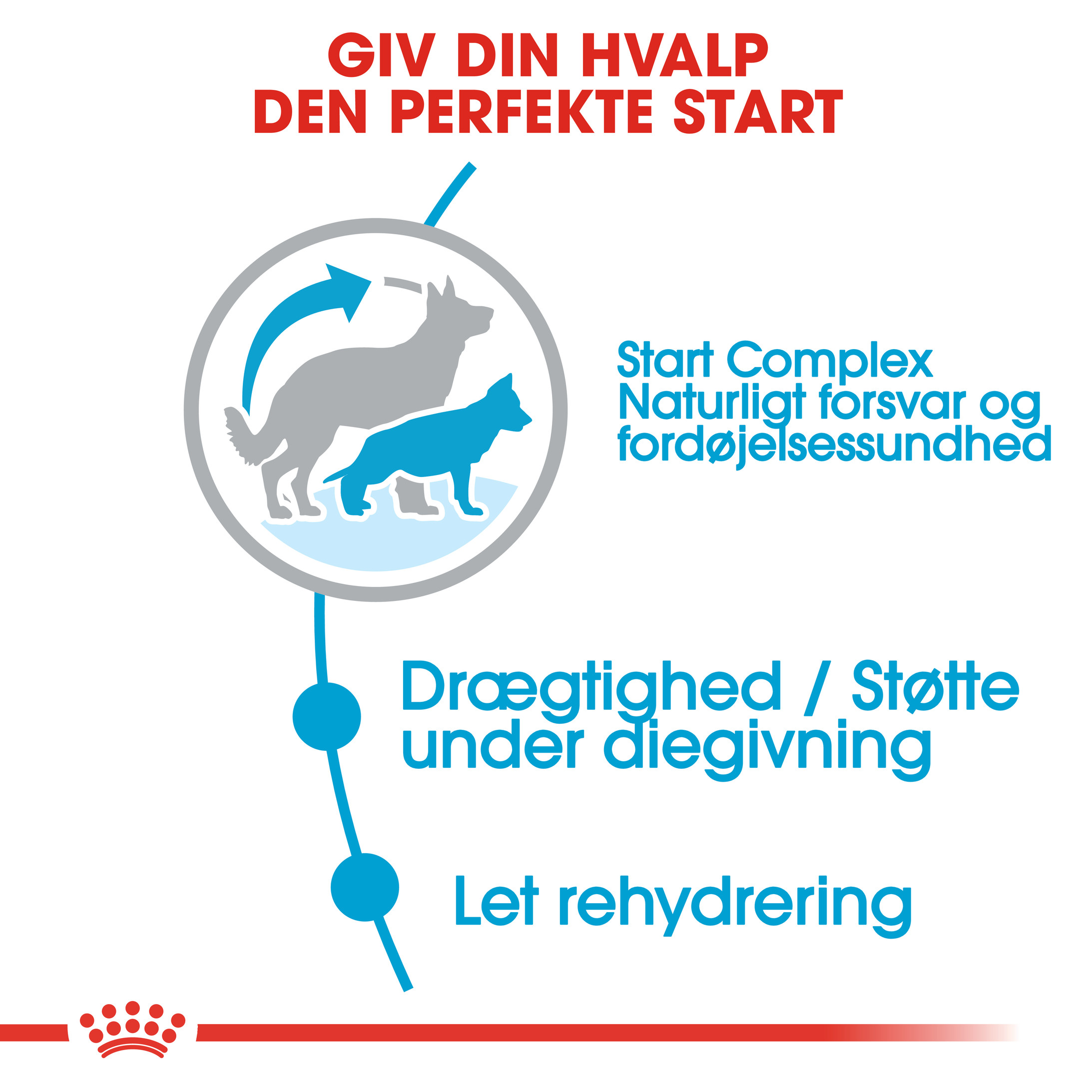 Royal Canin Maxi Starter Mother & Babydog hundefoder