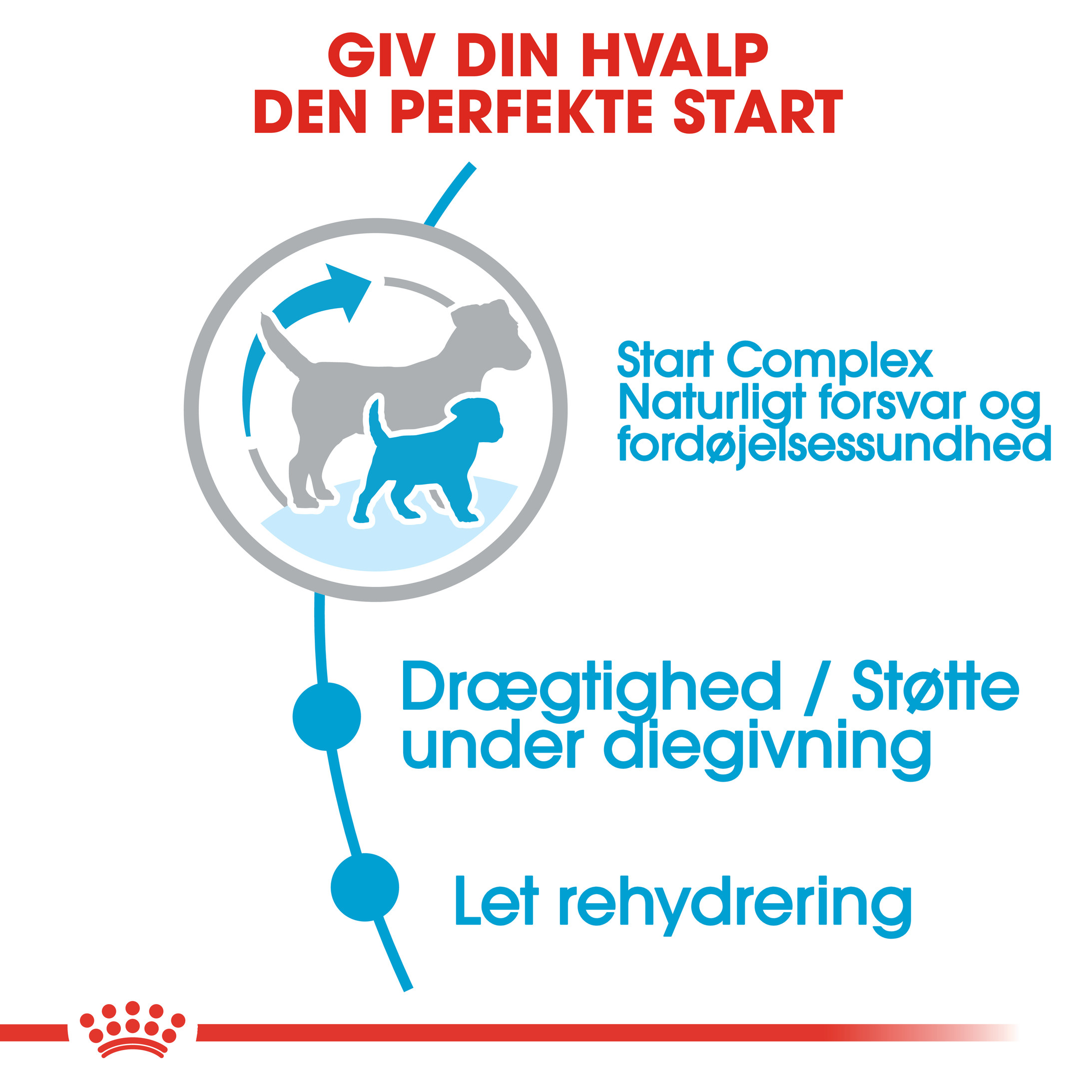 Royal Canin Mini Starter Mother & Babydog hundefoder