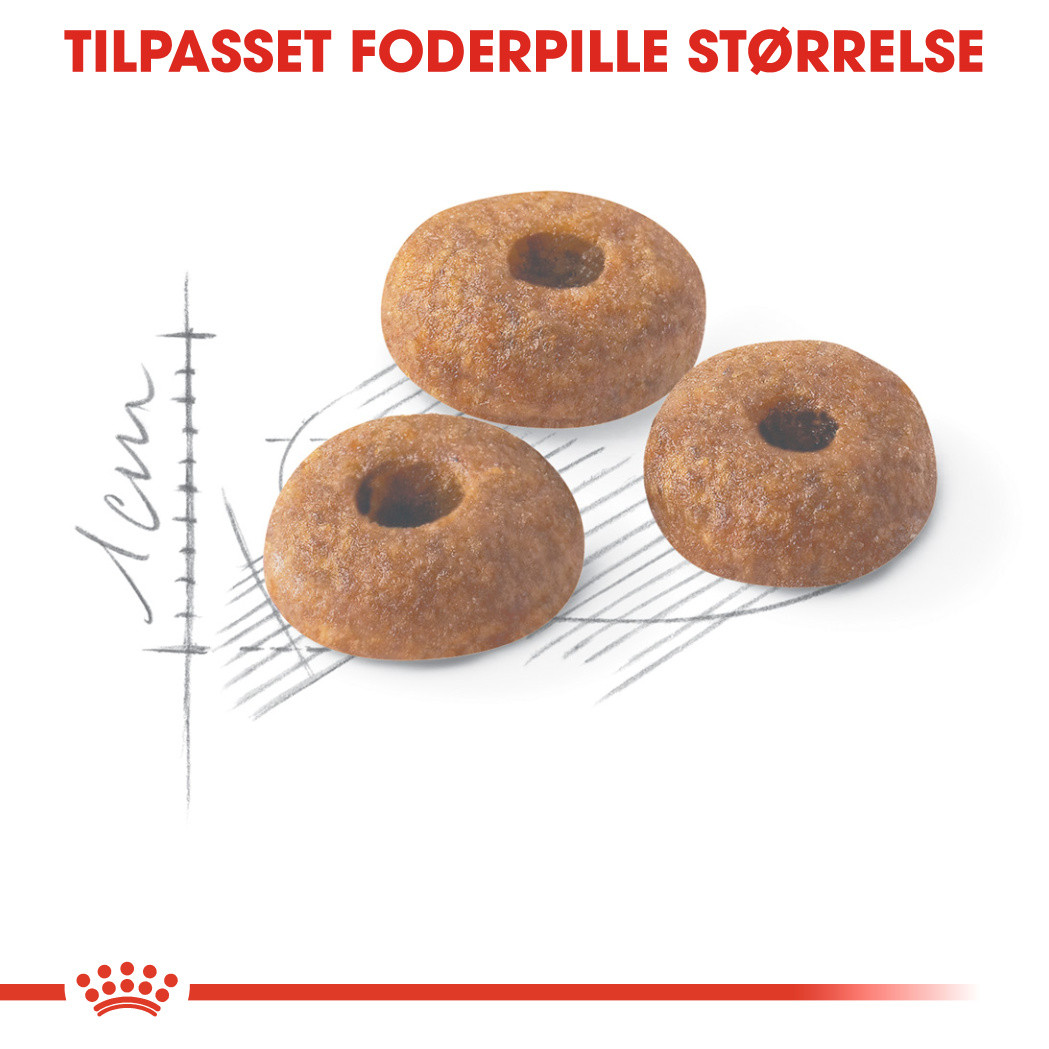 Royal Canin Regular Fit 32 kattefoder