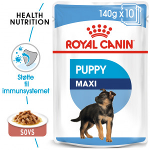 Royal Canin Maxi Puppy natvoer