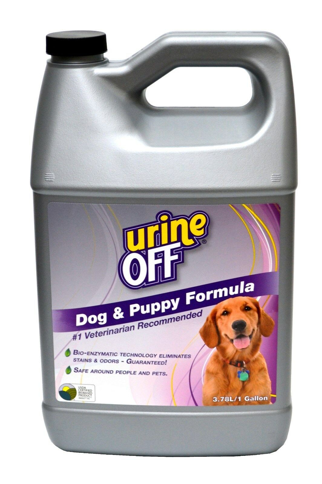 urine off hund