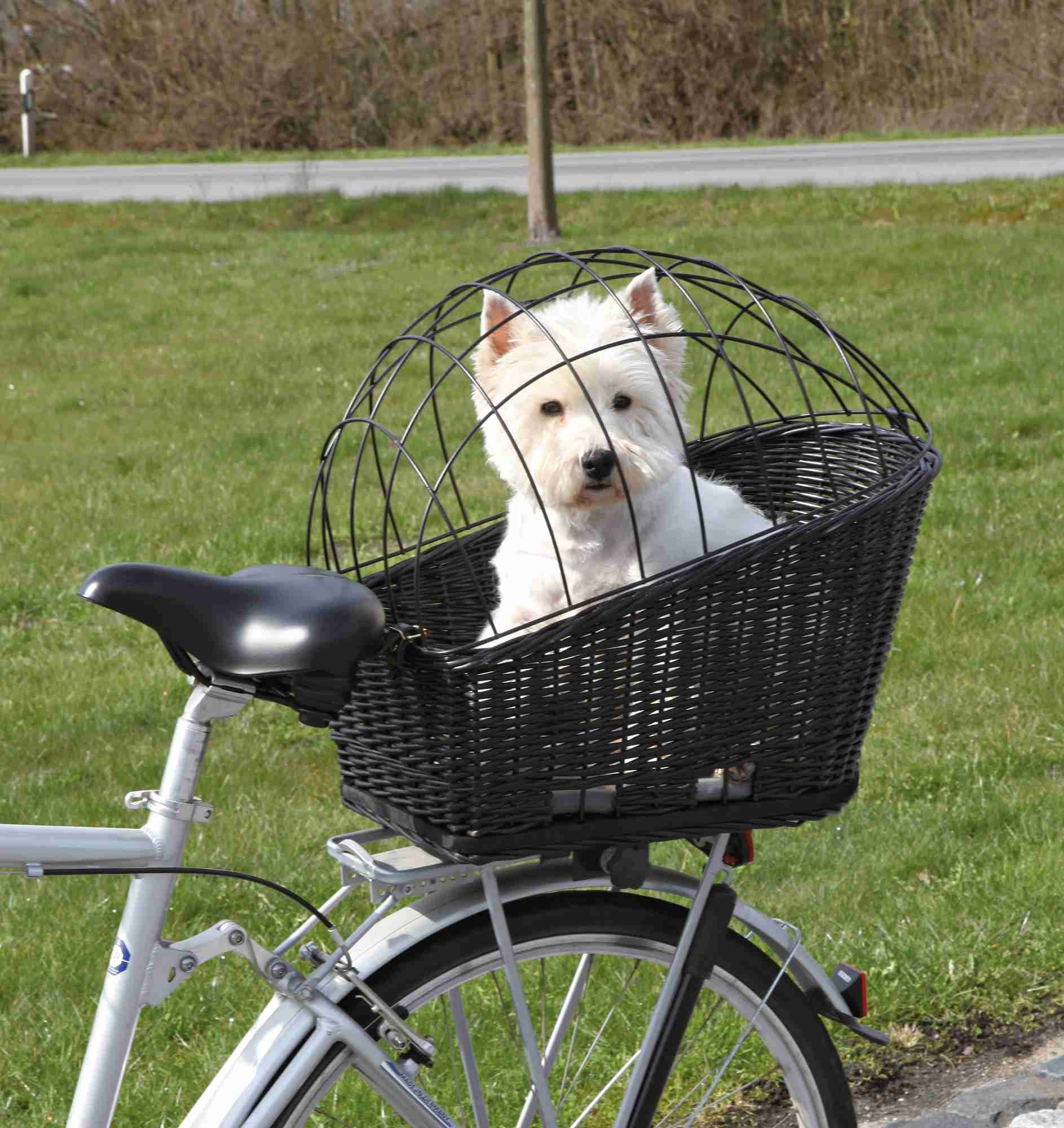Foresee damp Guggenheim Museum Cykelkurv til bagagebærer hund eller kat| Billigt | Stort Udvalg