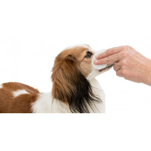 Oogreinigingsspads voor honden en katten 100St.