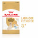 Royal Canin Adult 5+ Labrador Retriever hundefoder