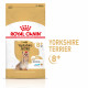 Royal Canin Adult 8+ Yorkshire Terriër hundefoder