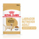 Royal Canin Adult Labrador Retriever vådfoder