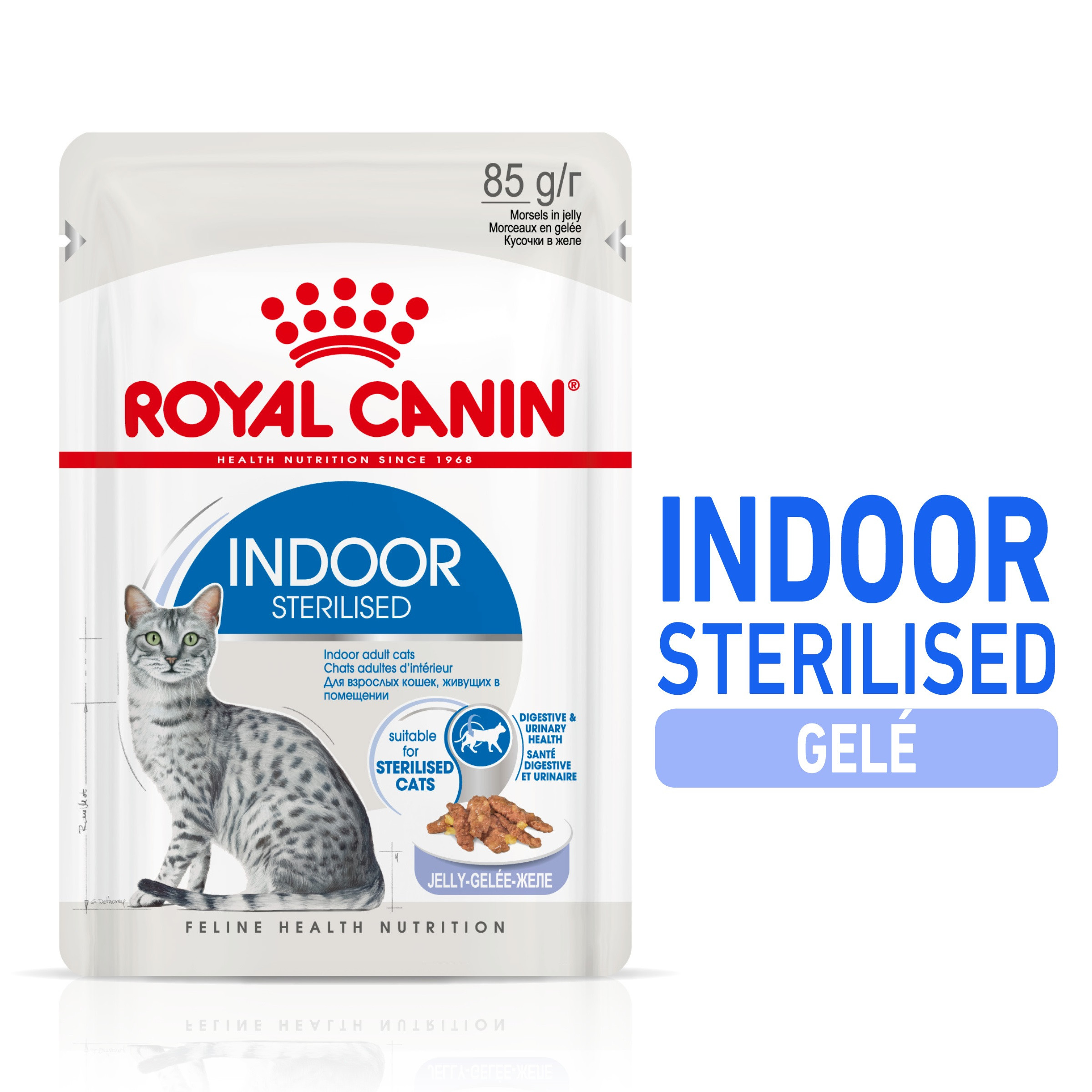 Royal Canin Indoor Sterilised in Jelly kattenvoer x12