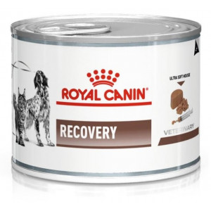 Royal Canin Veterinary Diet Recovery (dåse) til hund og kat
