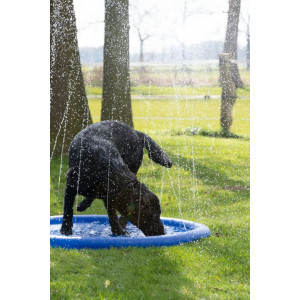 CoolPets Pool Sprinkler | Dejlig afkøling for vandhunde