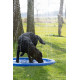 CoolPets Splash Pool Sprinkler