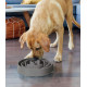 Slow Feeder Fun Feeder Large